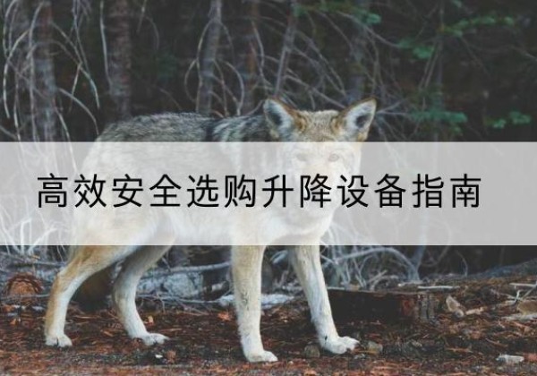 靖西升降货梯厂家推荐-*安全选购升降设备指南