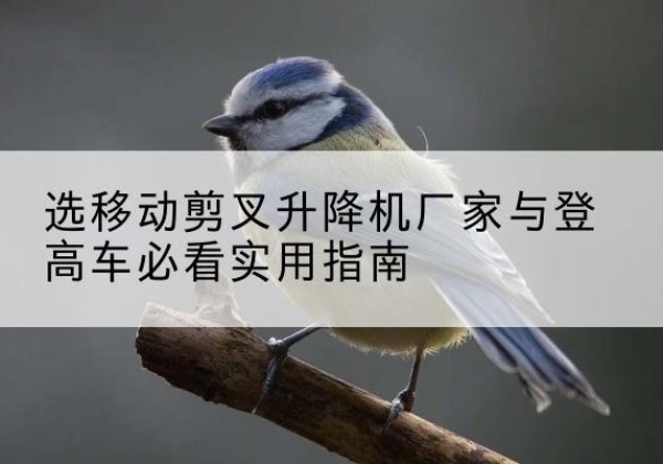 靖西电动升降机厂家-选移动剪叉升降机厂家与登高车必看实用指南