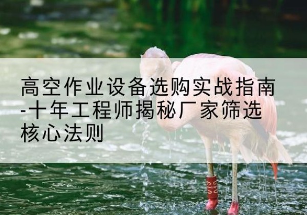 靖西剪叉式升降机厂家-高空作业设备选购实战指南-十年工程师揭秘厂家筛选核心法则